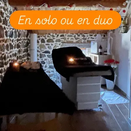 Le Des Volcans Appartement